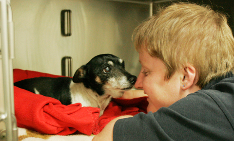 Shelter staff bond with animals in their care